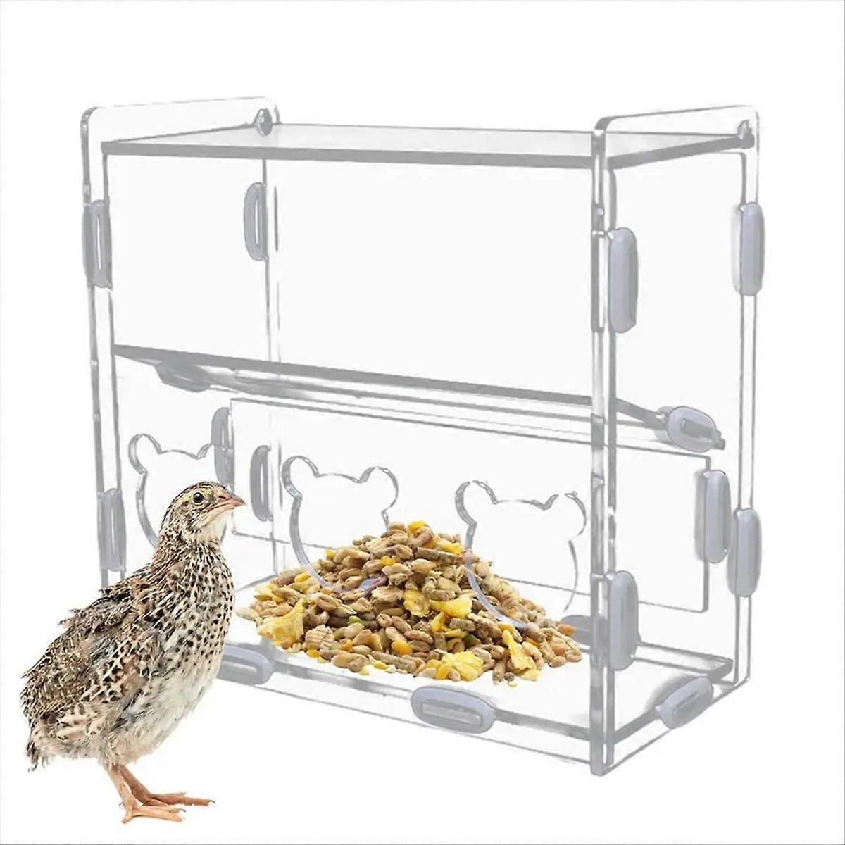 Parrot Feeder Box Acrylic Feeding Container