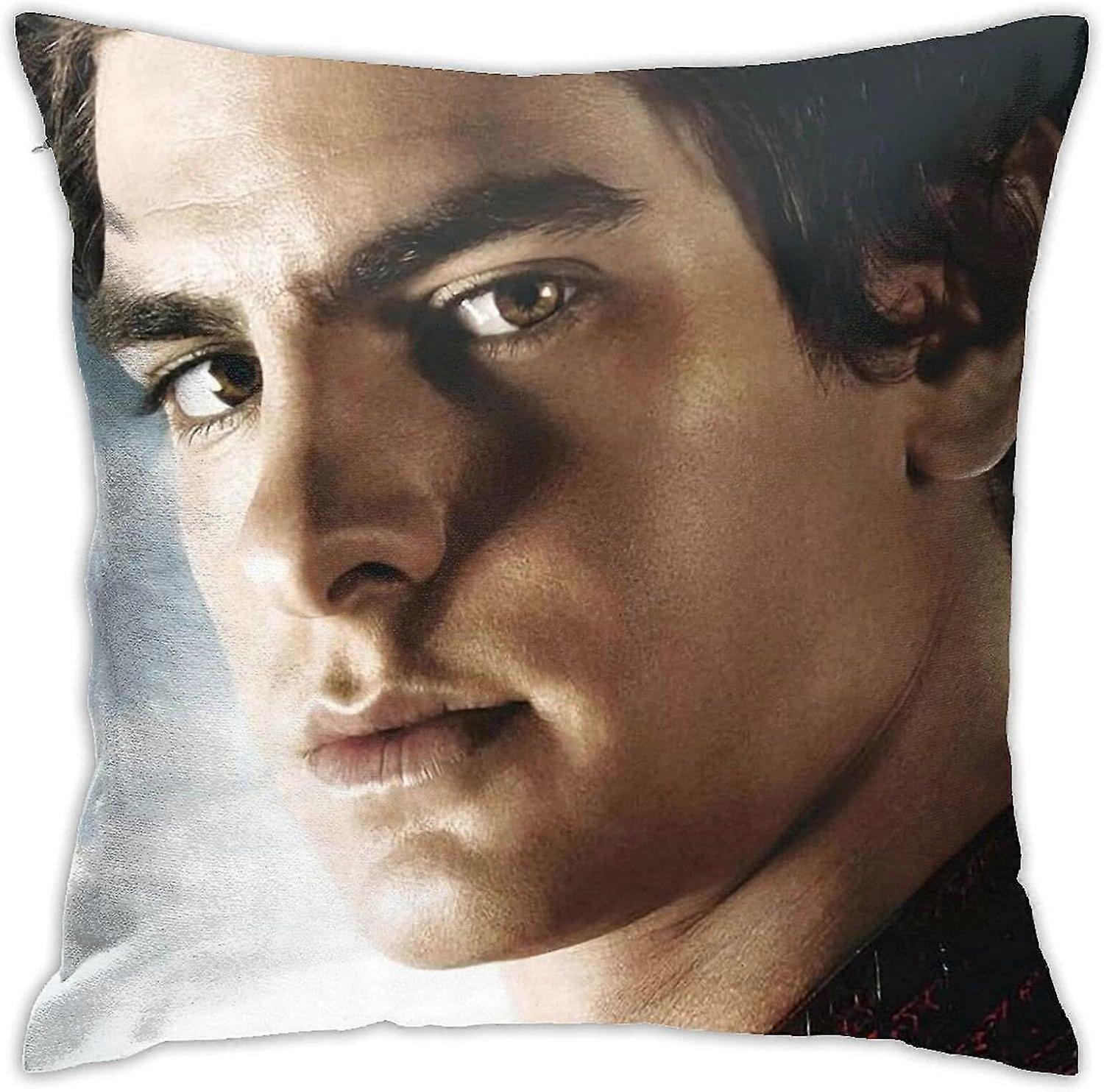 y1459アンドリューガーフィールド枕カバー両面印刷スロー枕ケースSoftクッションカバーリビングルーム寝室の枕カバーのための寮の装飾-TB2959