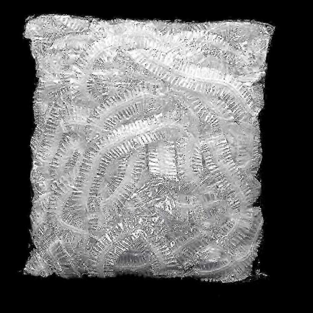 100 Shower Caps, Disposable Shower Caps