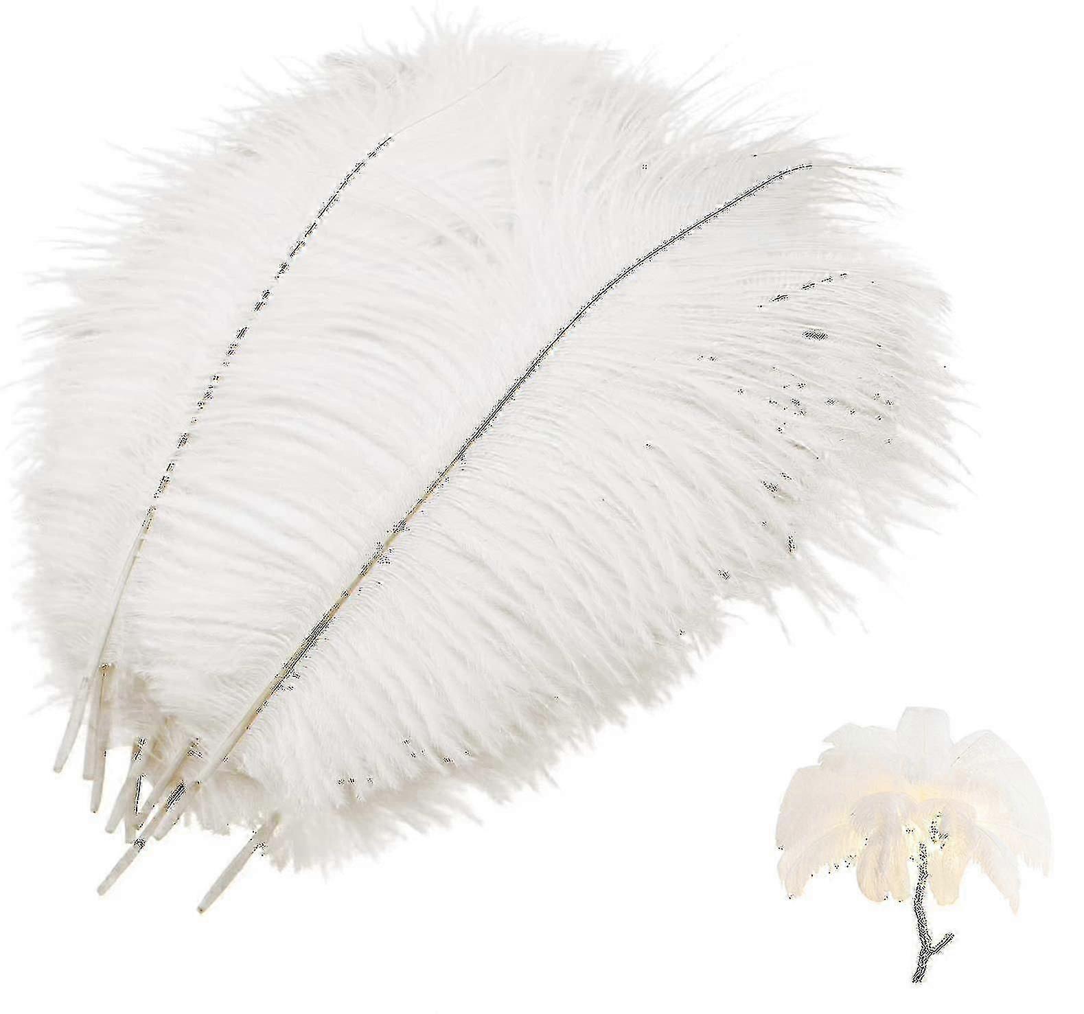 10 Pcs Natural Ostrich Feathers, Ostrich Feather Compatible With