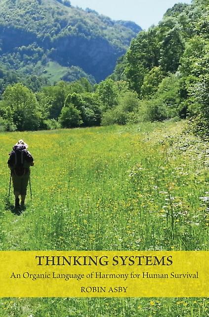 Thinking Systems by Robin Asby Paperback