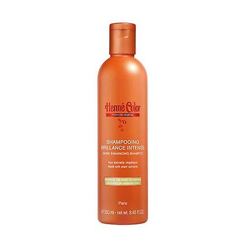 Shampoo for Damaged and Colored Hair 250 ml