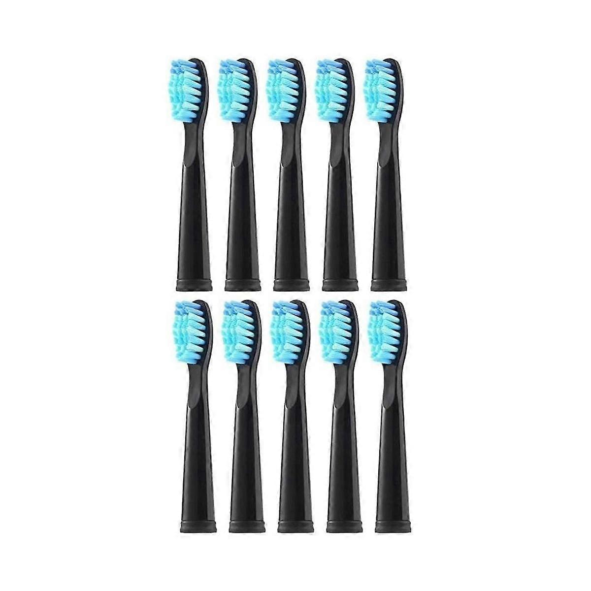 Lot de 10 têtes de rechange pour brosses à dents électriques FW-507/508/551/917/959, FW-D1/FW-D3/FW-D7/FW-D