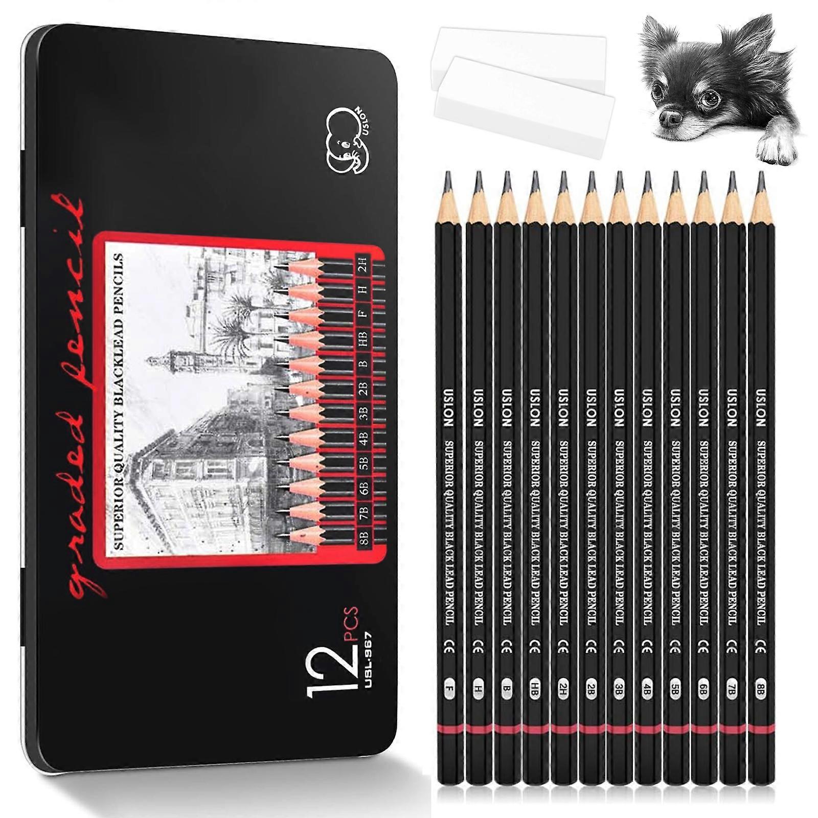 Artistic Mastery, Drawing Sketching Pencil Set, Charcoal Sticks for Artistic Expression, High Quality Drawing Pencil Set for Precision, Ideal for