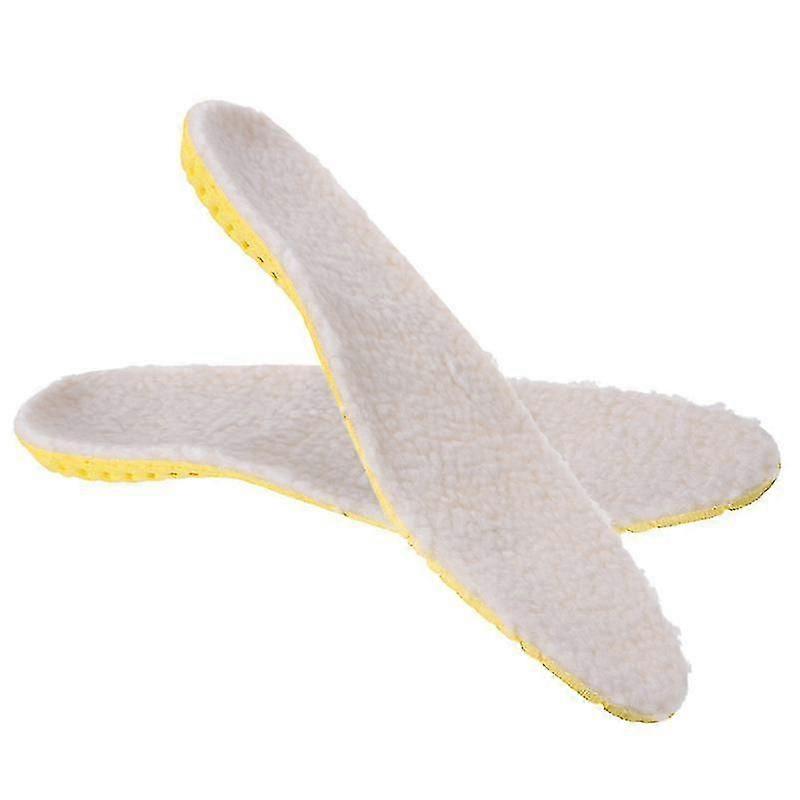 1pair Warm Insole