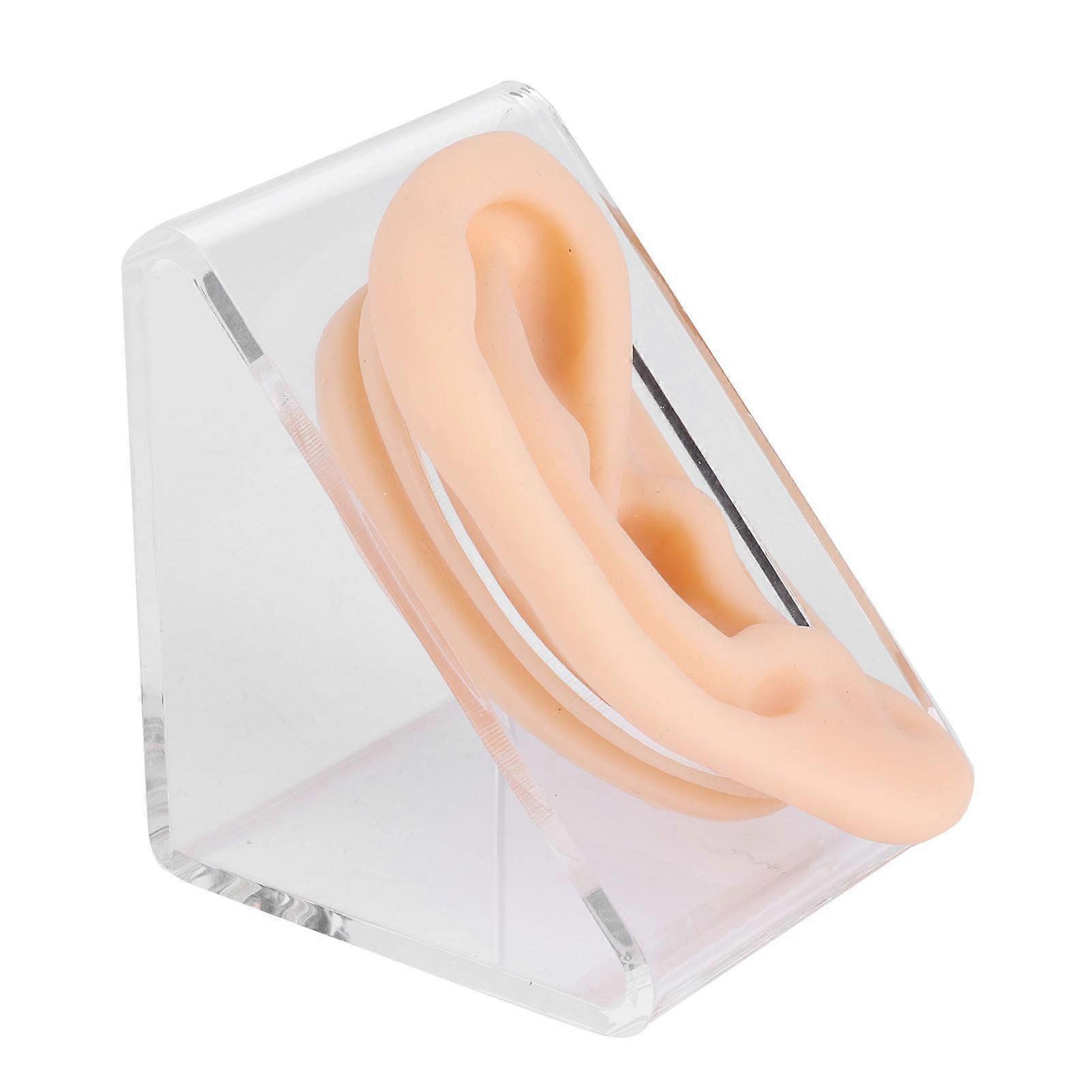 Soft Silicone Ear Model Simulation Ear Acupuncture Practice Model for Hospital Display