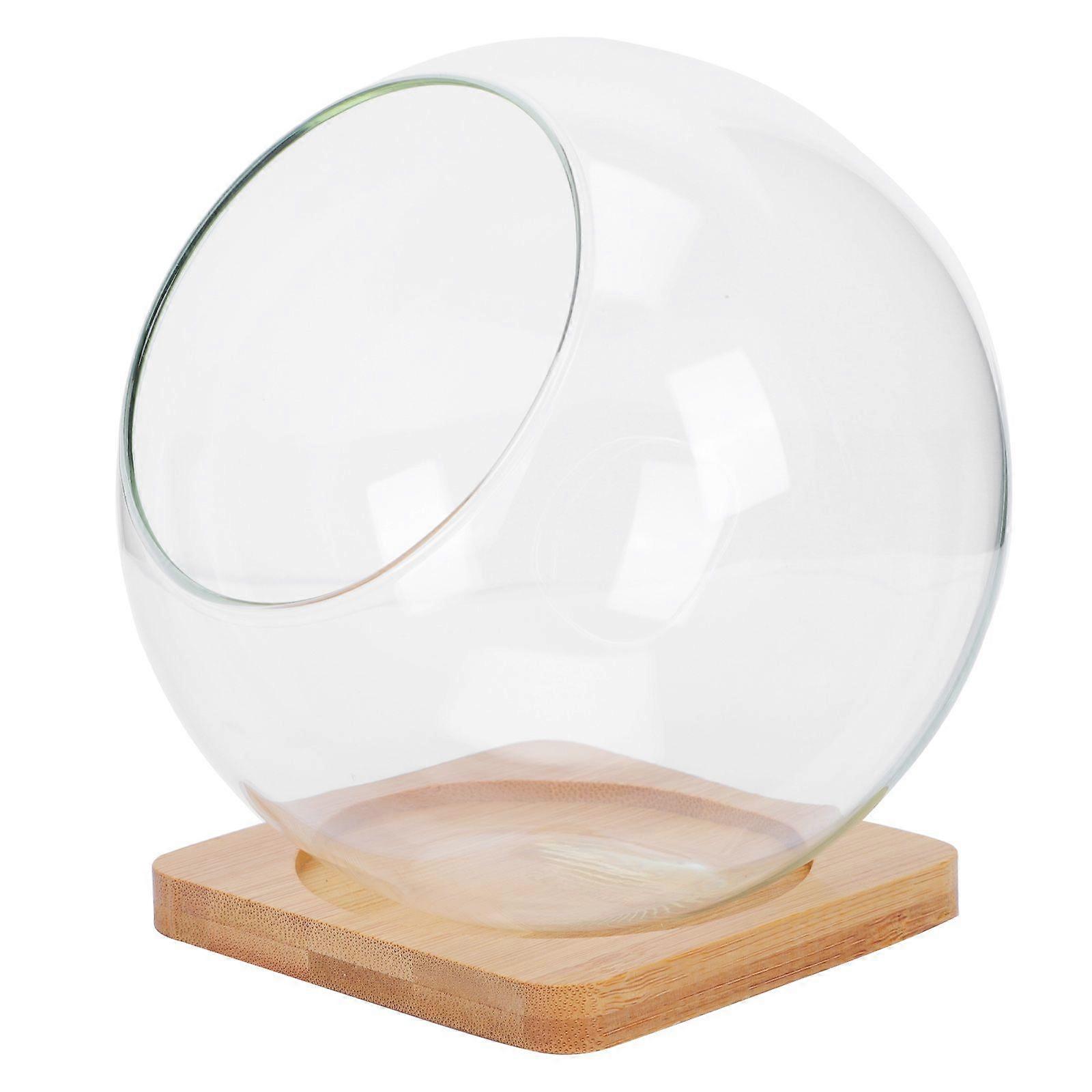 1 Set Glass Micro Landscape Bottles Multi-functional Household Storage Holders