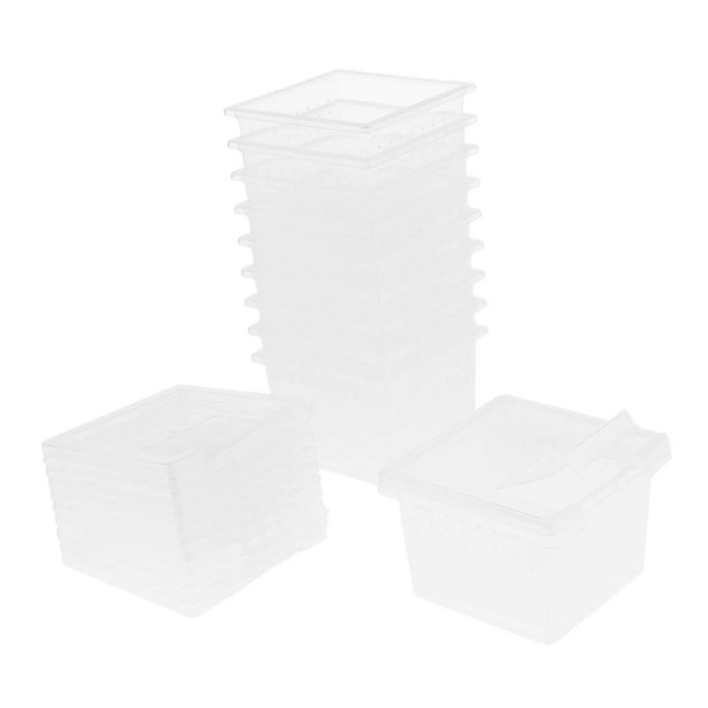 10 Pcs Insect Reptile Spider Terrariums Breeding Box Hatching Containers