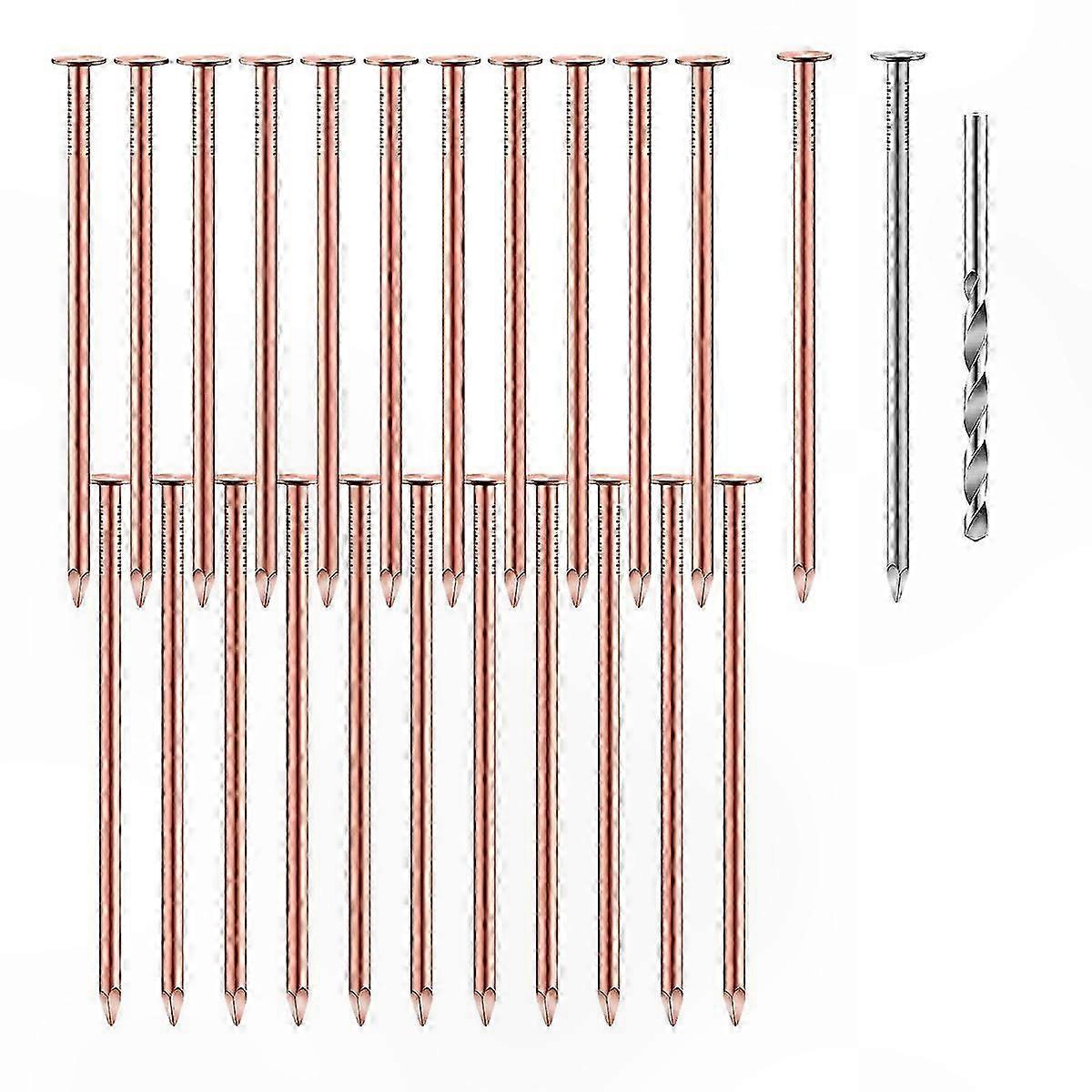 3.5 Inch Copper Nails for Tree Removal, 25 Pack Pure Copper Fasteners