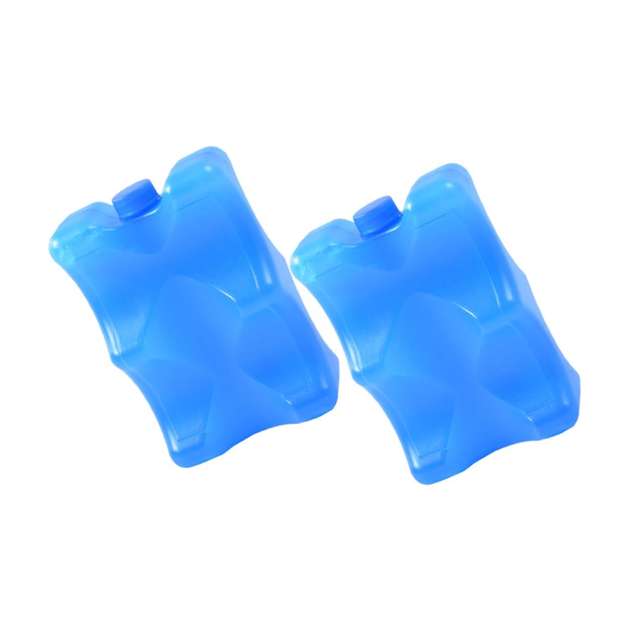 2 Pack Breastmilk Storage Bottles with Reusable Ice Packs for On the Go Breastfeeding