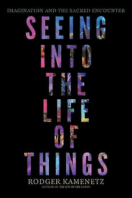 Seeing Into The Life Of Things by Rodger Kamenetz Paperback