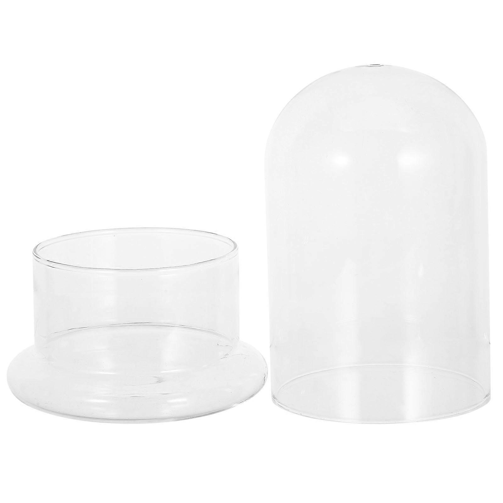 Micro Landscape Bottle Glass Terrarium for Creative DIY Activity