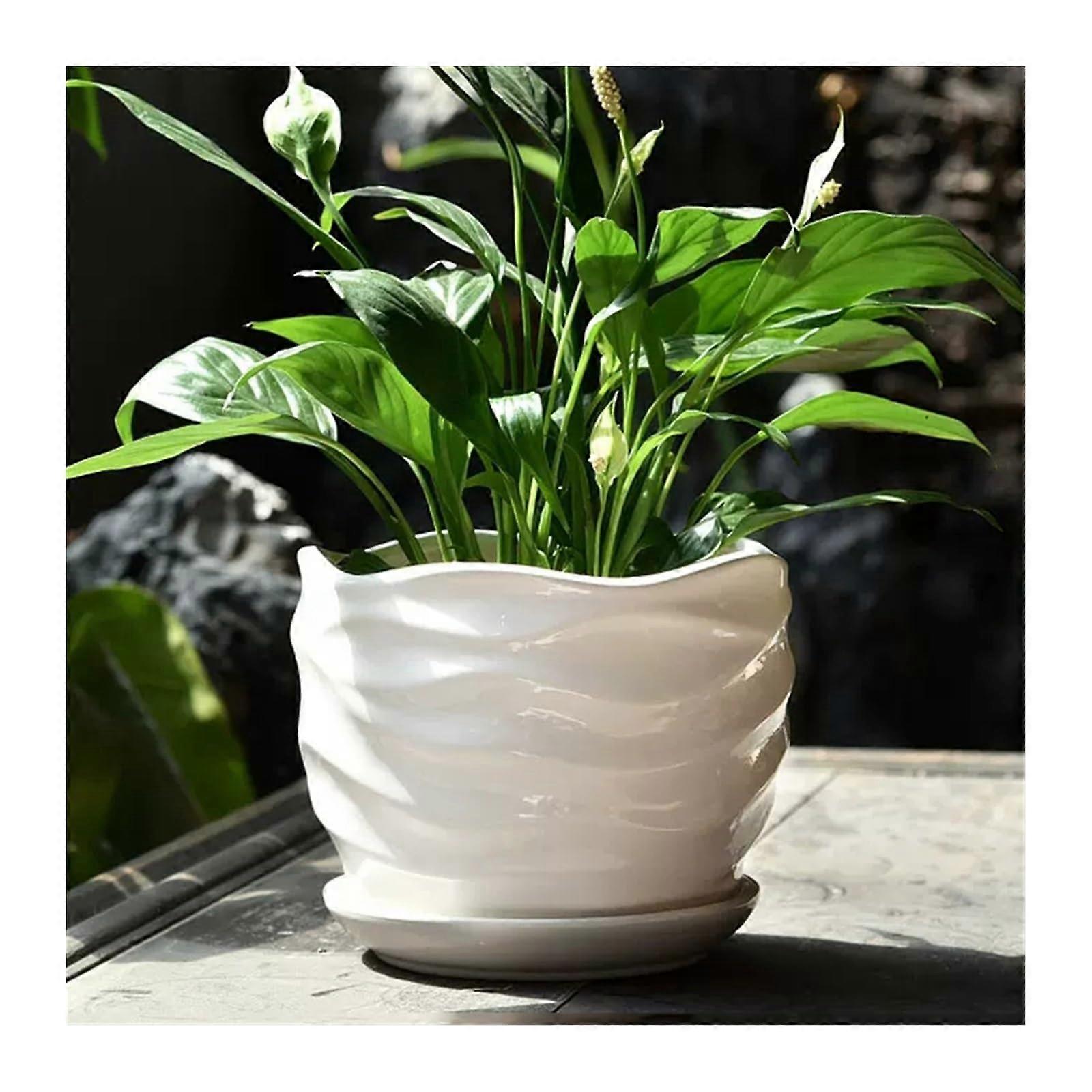 Ceramic Planter with Drainage Tray, Medium Succulent Pot, Indoor Wave Pattern Plant Pot