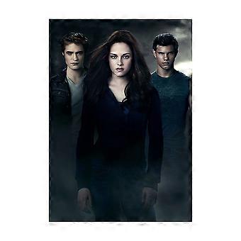Jogo de quebra-cabeça do filme Crepúsculo - Eclipse para adultos e crianças F877
