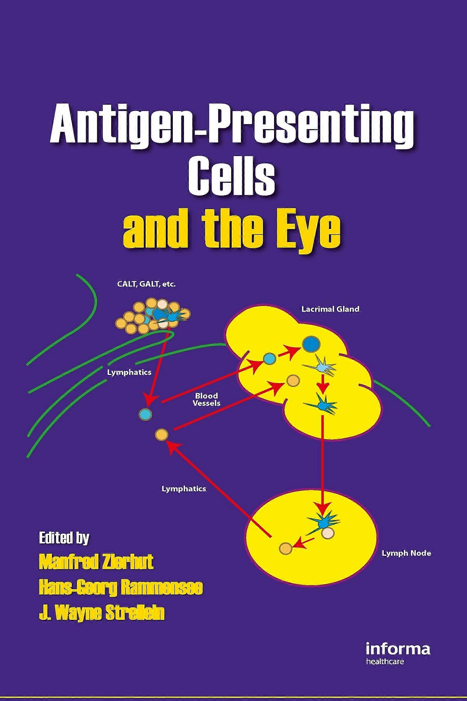 Antigen-presenting cells and the eye