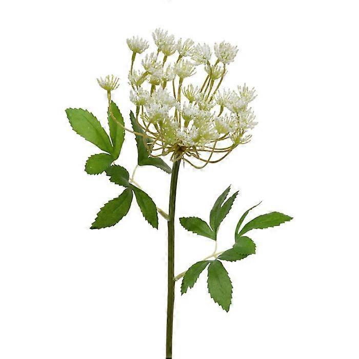 Dill stem (55 cm)