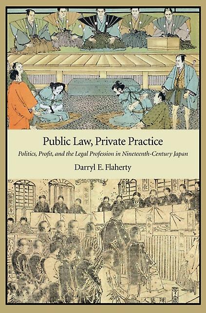 Public Law Private Practice by Darryl E. Flaherty Paperback Book