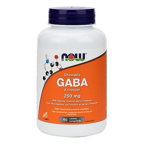Now GABA Chewable, 250 Mg, 90 Tablets
