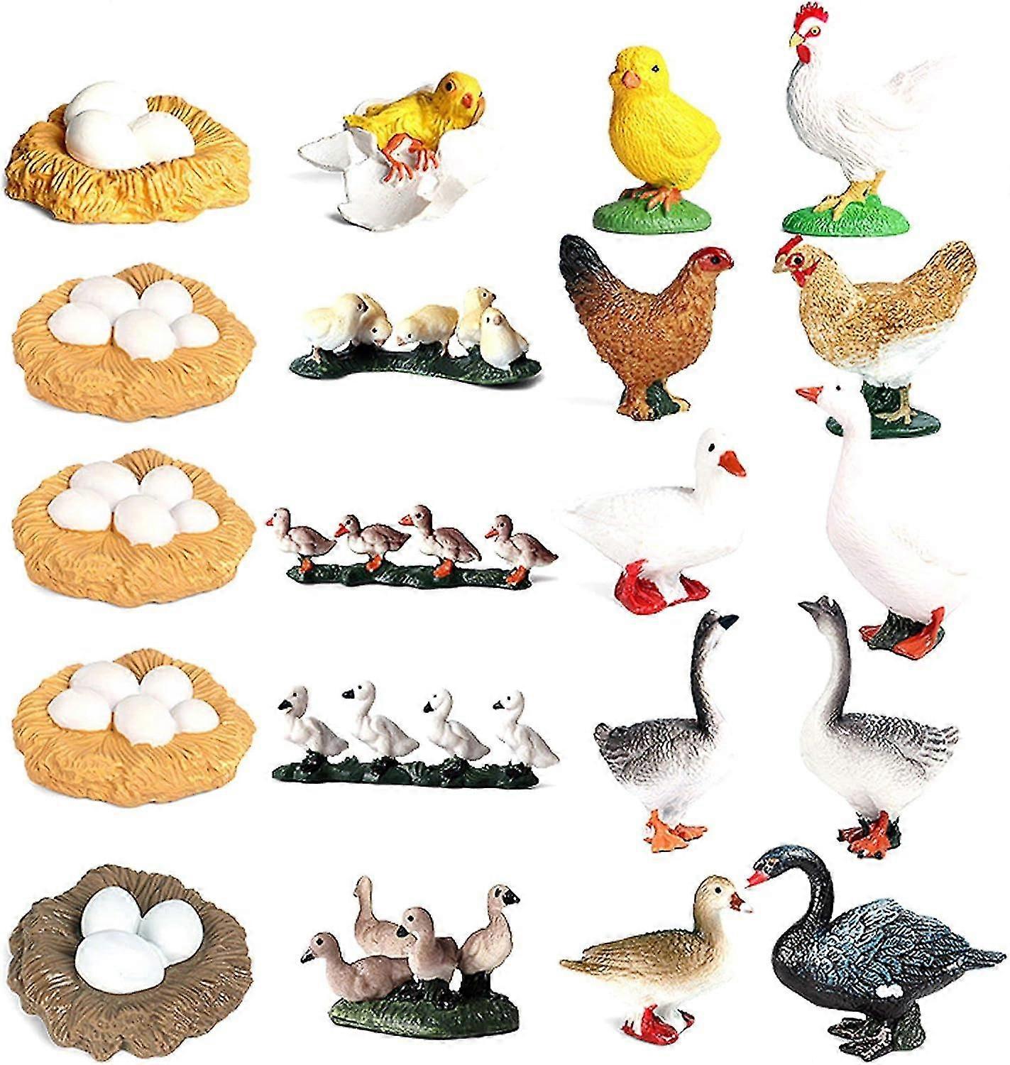 Educational Poultry Life Cycle Figures - Set of 5 Simulation Animals