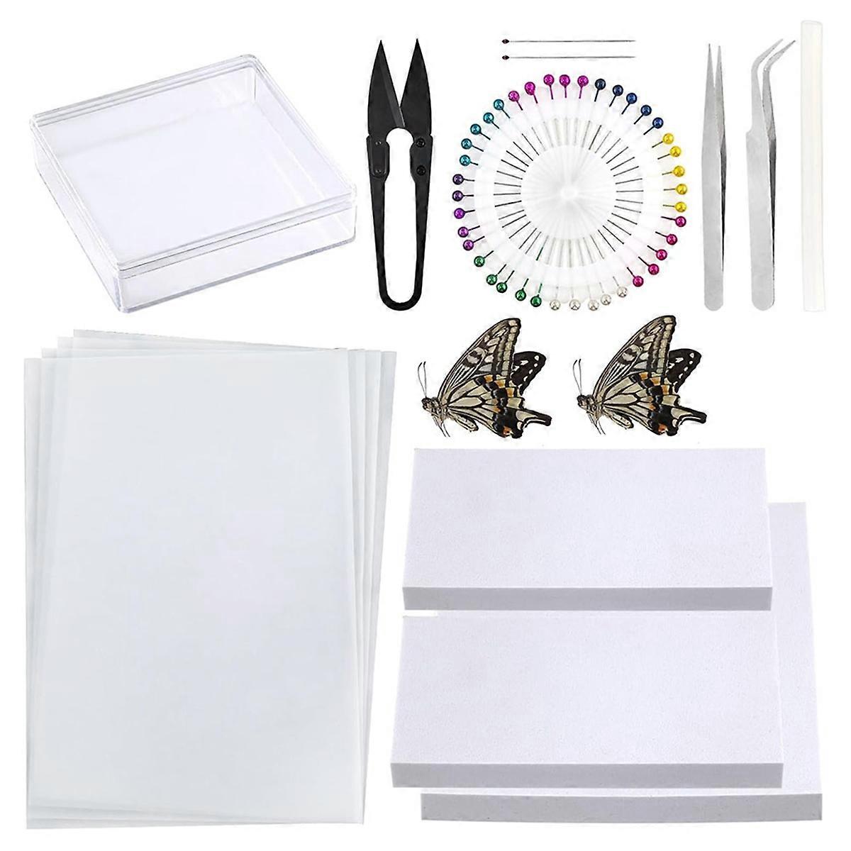 Insect Specimenmaking Tool Kit, Suitable for Insect Lovers' Biology Project Classroom