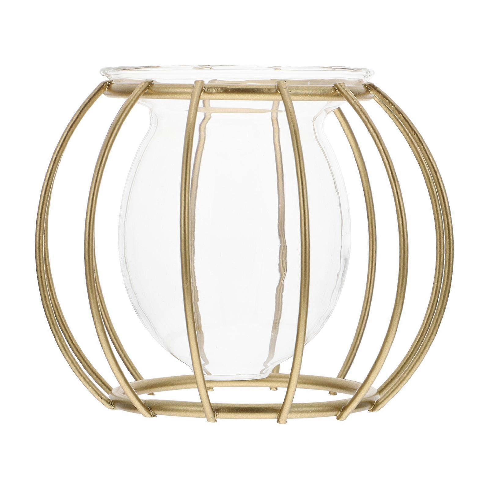 Glass Plant Vase with Iron Bracket for Hydroponic Use 5Pcs Container