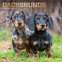 Dachshunds 2026 Square Flap Foil Calendar Calendar Book