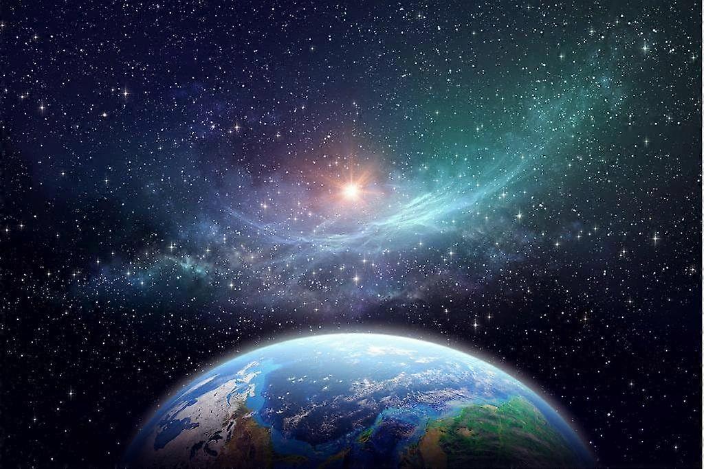 Winter Park Forest TreeJigsaw Puzzle Brain Teaser Z1406