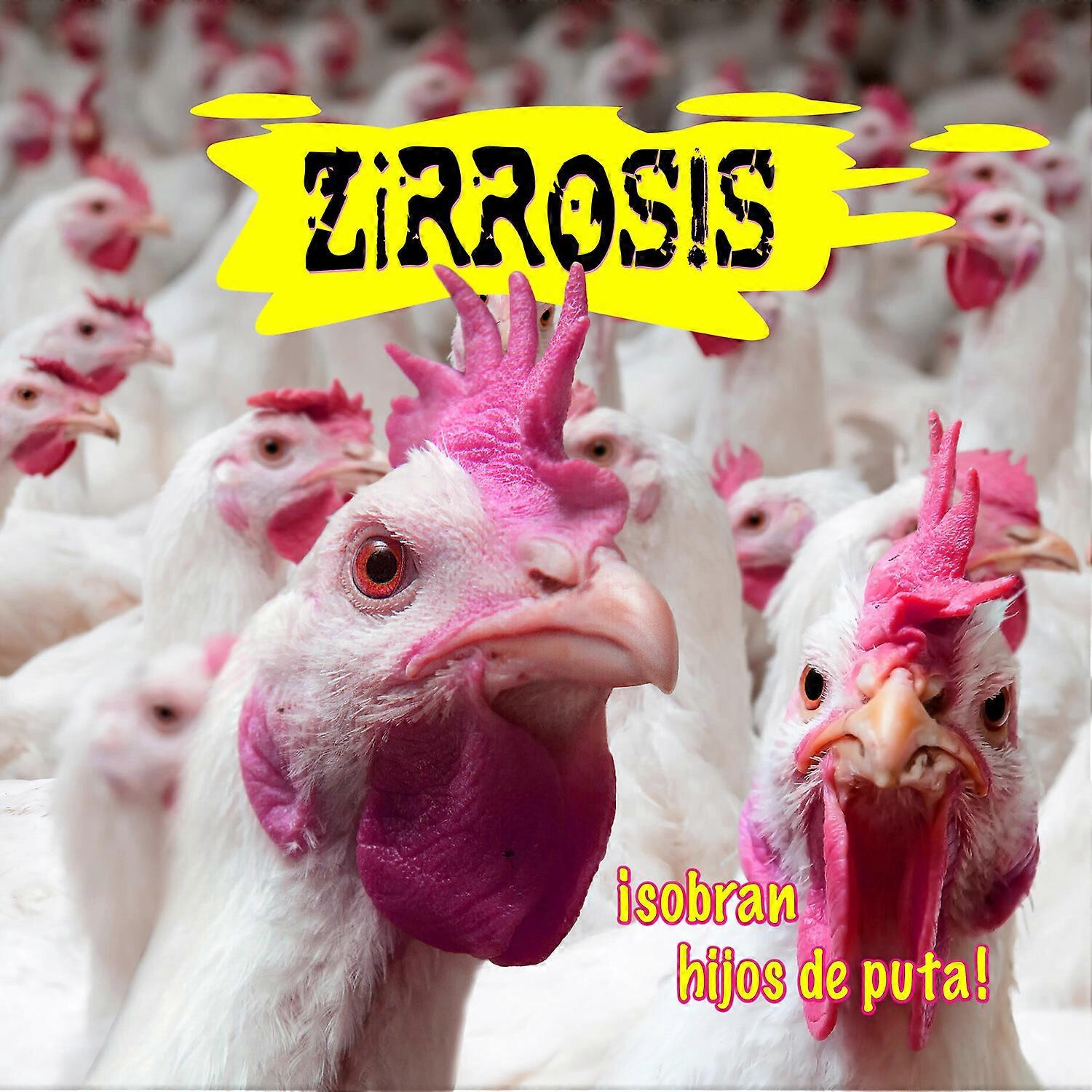 Zirrosis - Sobran Hijos De Puta  [COMPACT DISCS] Spain - Import USA import