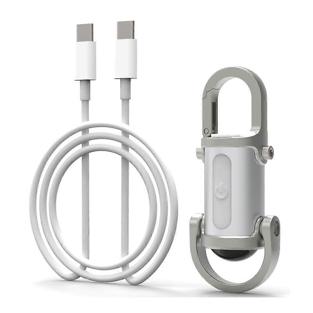Mini Flashlight, Waterproof Flashlight Keychain Flashlight Silver