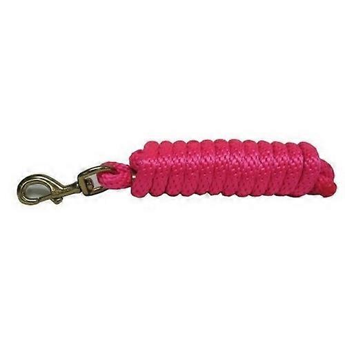 Hamilton Hamilton Poly Lead W/Bolt Snap, 1 Each, 10 Feet,Hot Pink