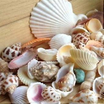 100g Beach Mixed Seashells Mix Sea Shells Shell Craft Seashells Aquarium Decor