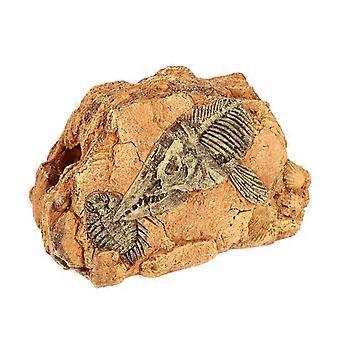 Reptile Hide Resin Terrarium Platform for 4Pcs Reptile Decor Chocolate