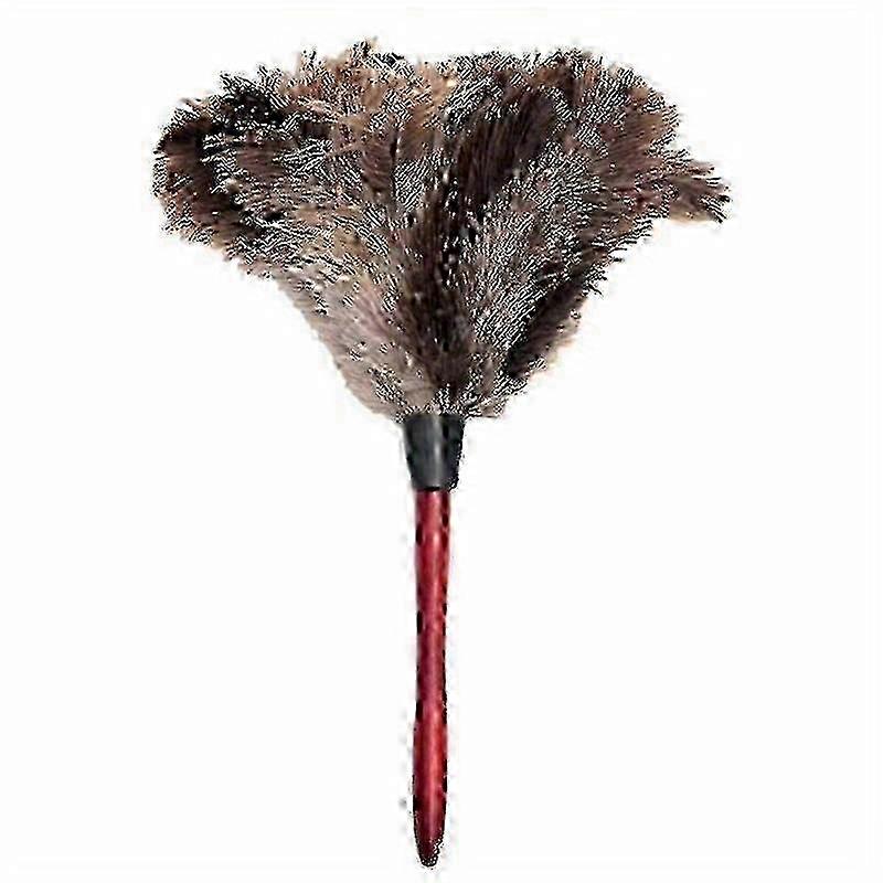 Gentle Ostrich Feather Duster