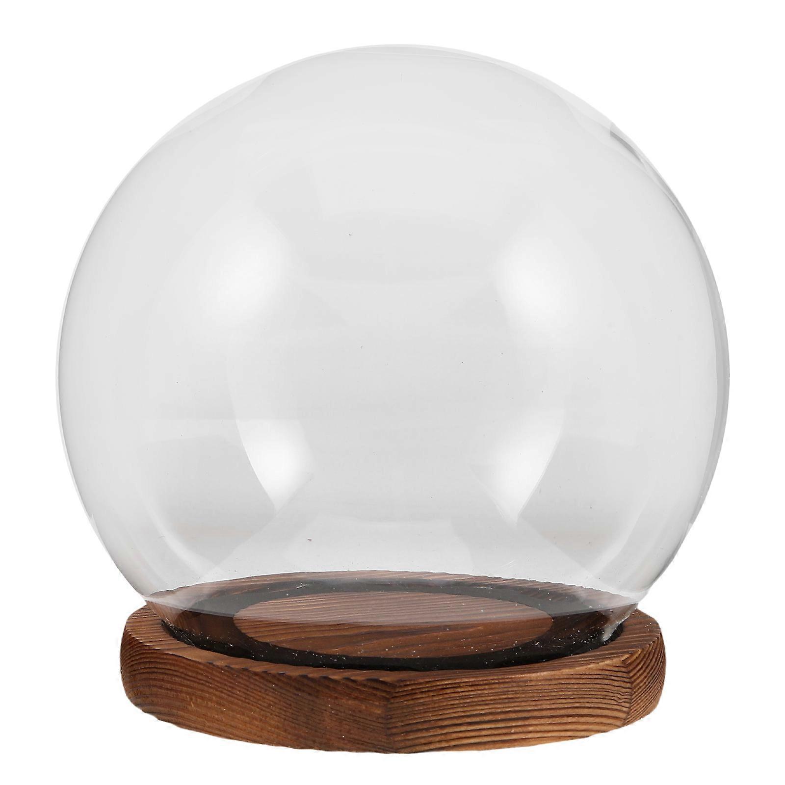 Transparent Glass Dome Display Case for Decoration