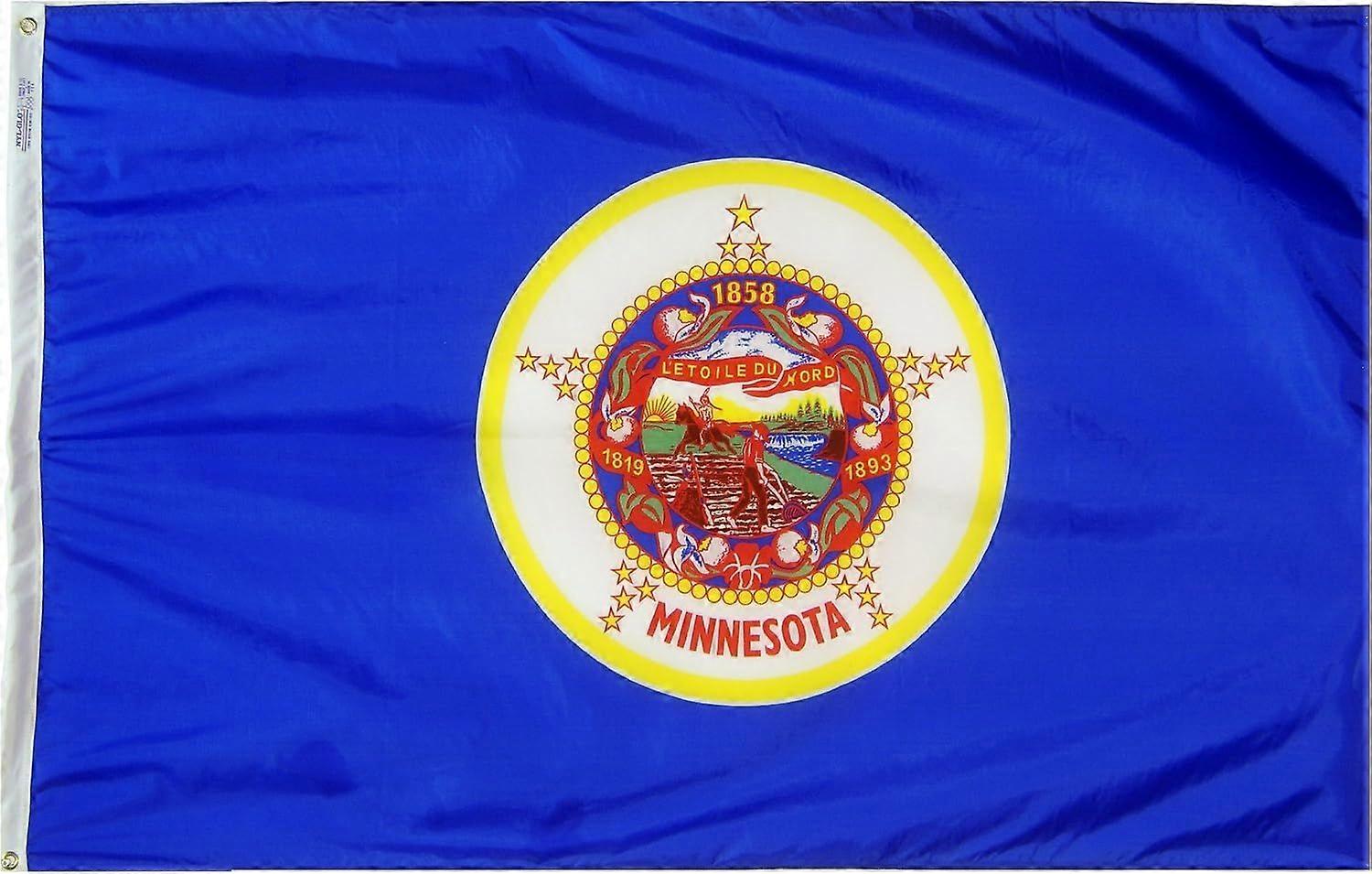 Minnesota State Flag RR03