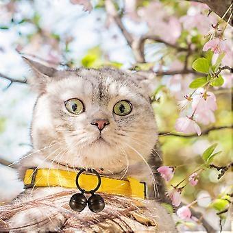 Pet Collar Bell Copper Dog Collar Bell for Training 2Sets Pendant