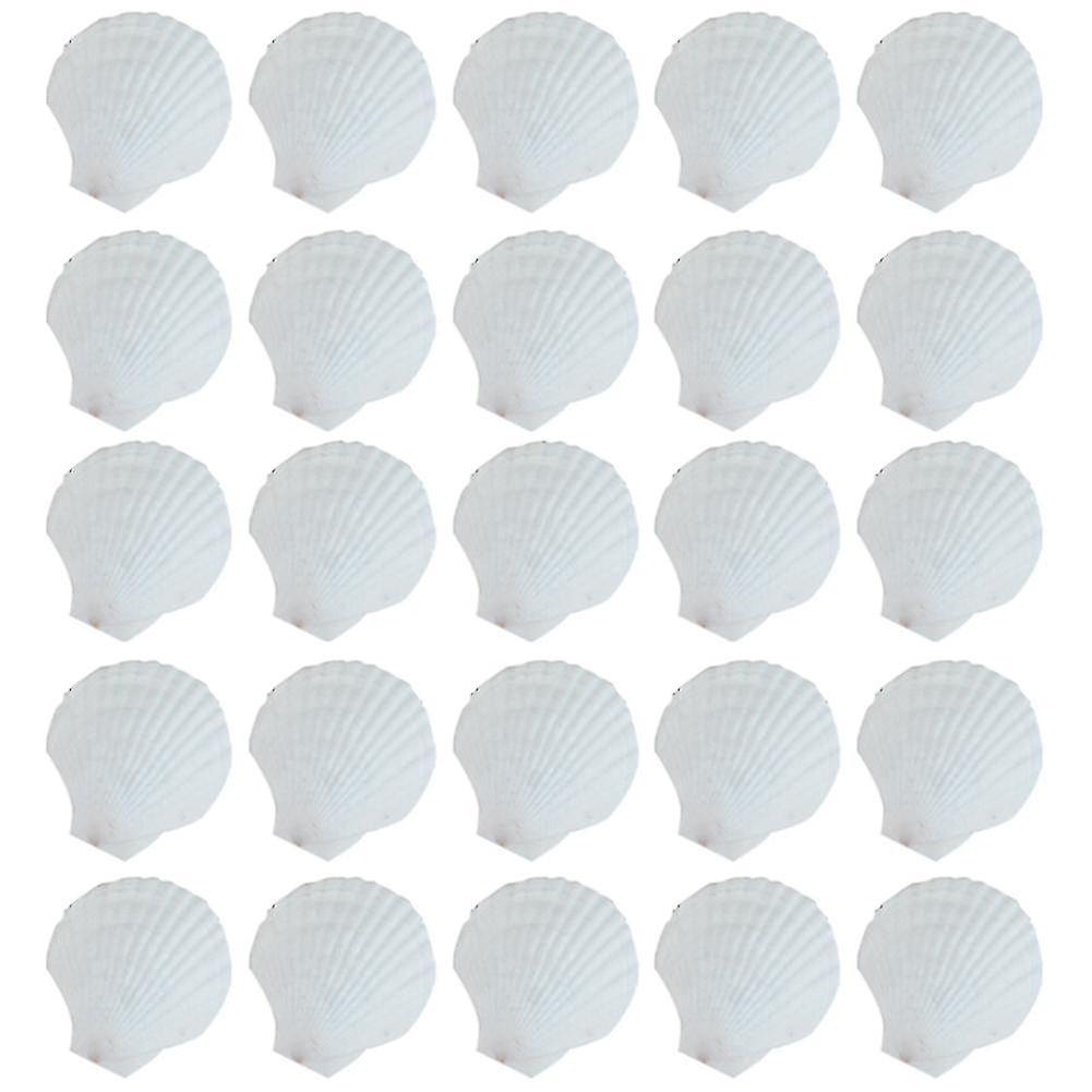25pcs Natural Scallop Shell, Special For Handmade Diy Coloring Shell