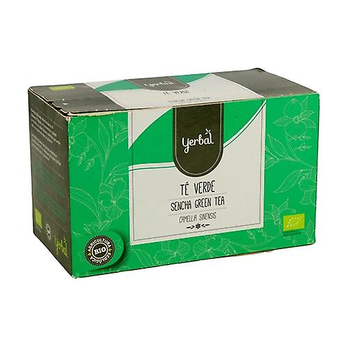Green Tea Infusion Box 25 infusion bags