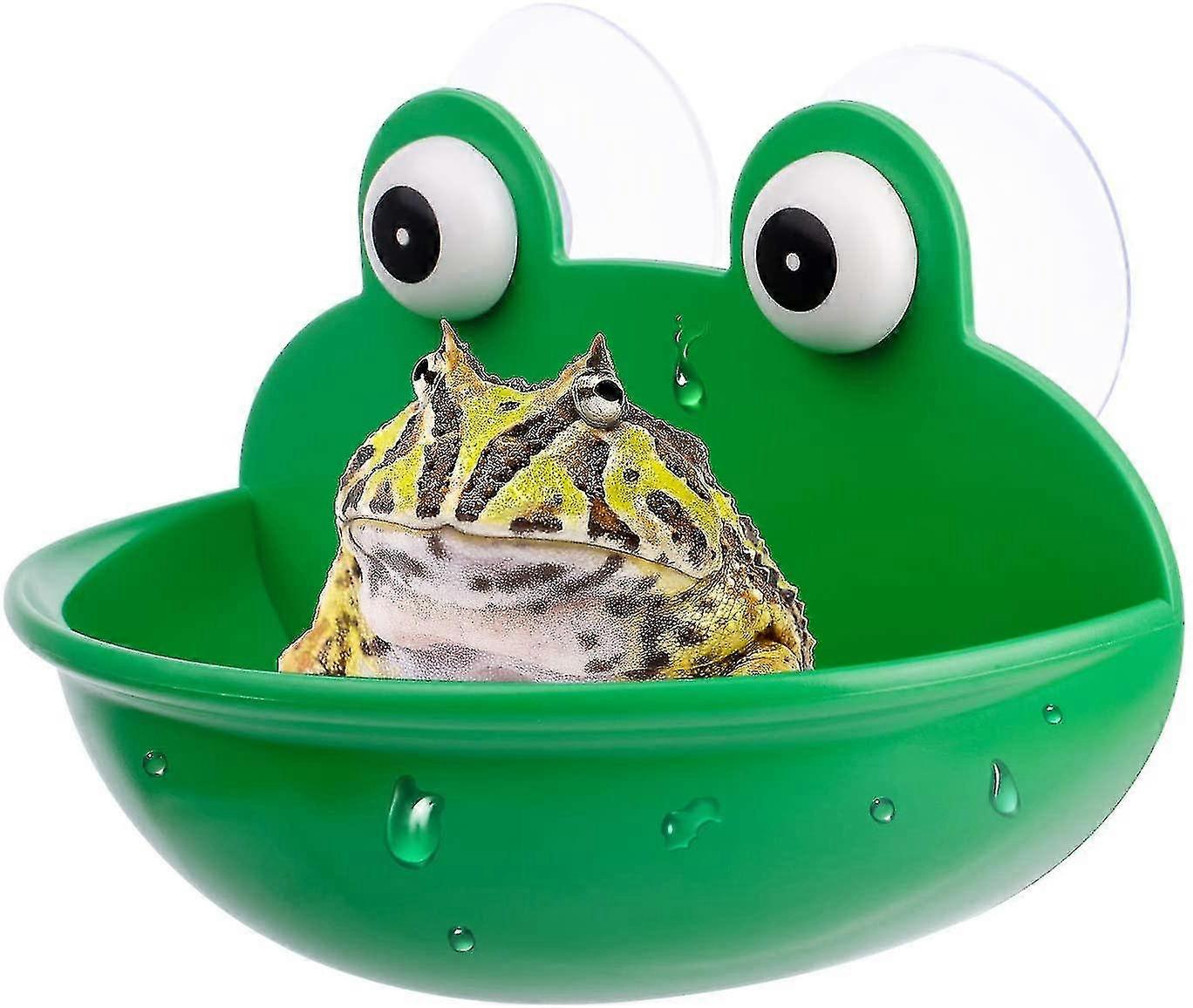 Tank Decoration, Suitable For Frog/toad/gecko/tadpole/turtle 1pcs