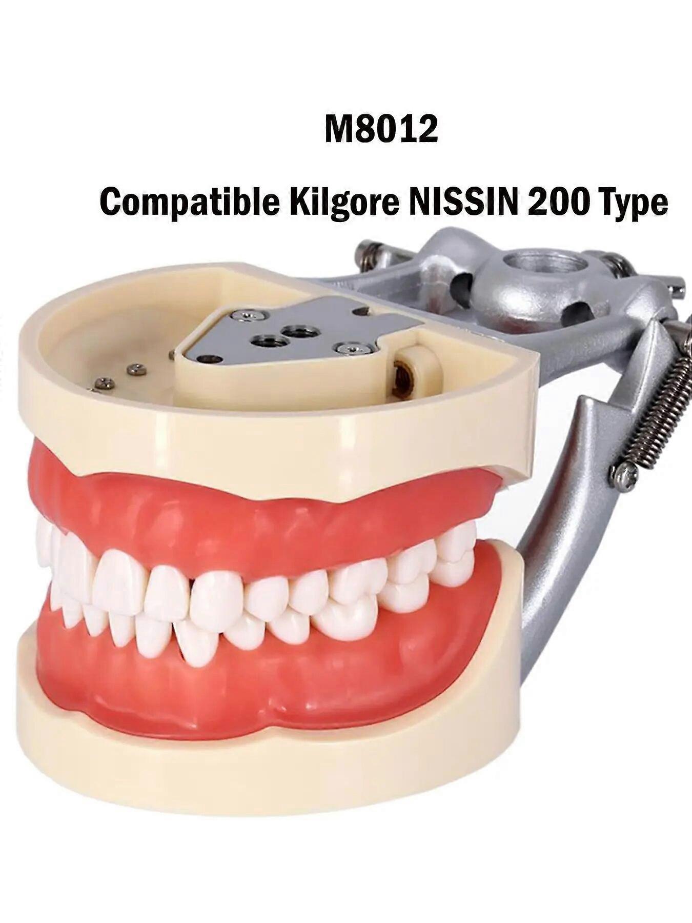 Dental Soft Rubber Simulation Cheek Suitable for Kilgore NISSIN 200/500 Type 28/32 Pcs Removable Teeth For Teaching Demo