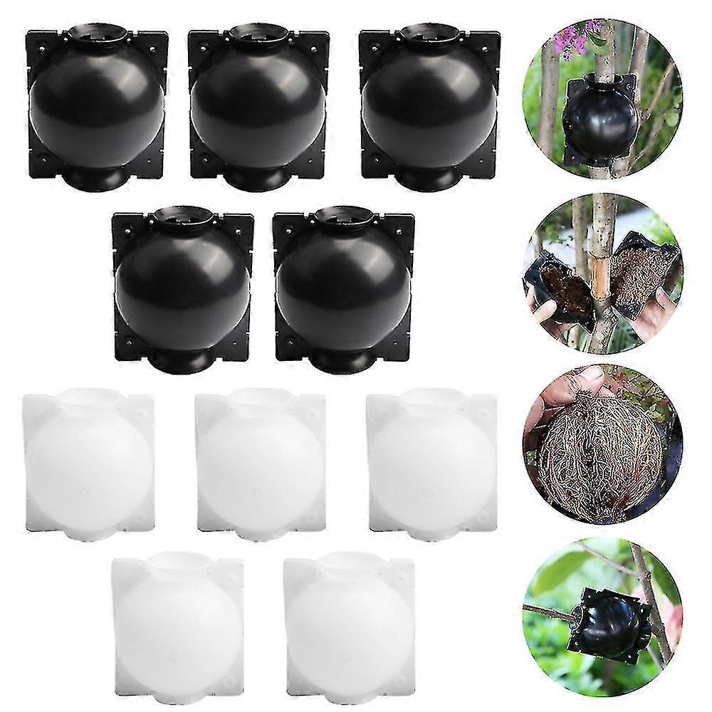 10 Pack Plant Rooting DevicePlant Root Growing Box for Plant Propagation Reasable Propagation Rooting Ball
