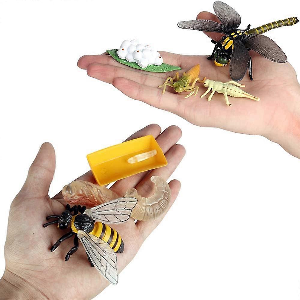 Life Cycle Figurines of Butterfly Spider Bee Ladybug Dragonfly, Plastic ...