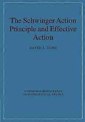 The Schwinger Action Principle and Effective Action