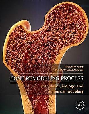 Bone Remodeling Process