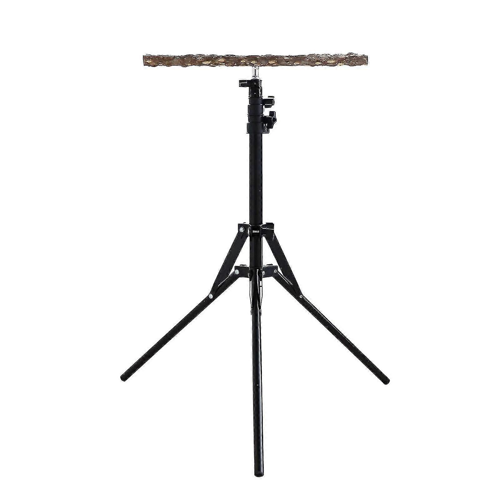 الببغاء جثم الطيور الوقوف الخشب ارتفاع قابل للتعديل للببغاوات الأليفة الطيور الحب