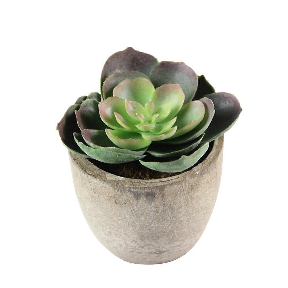 Fake Plants Set, Elegant Artificial Succulents for Coffee Table and More