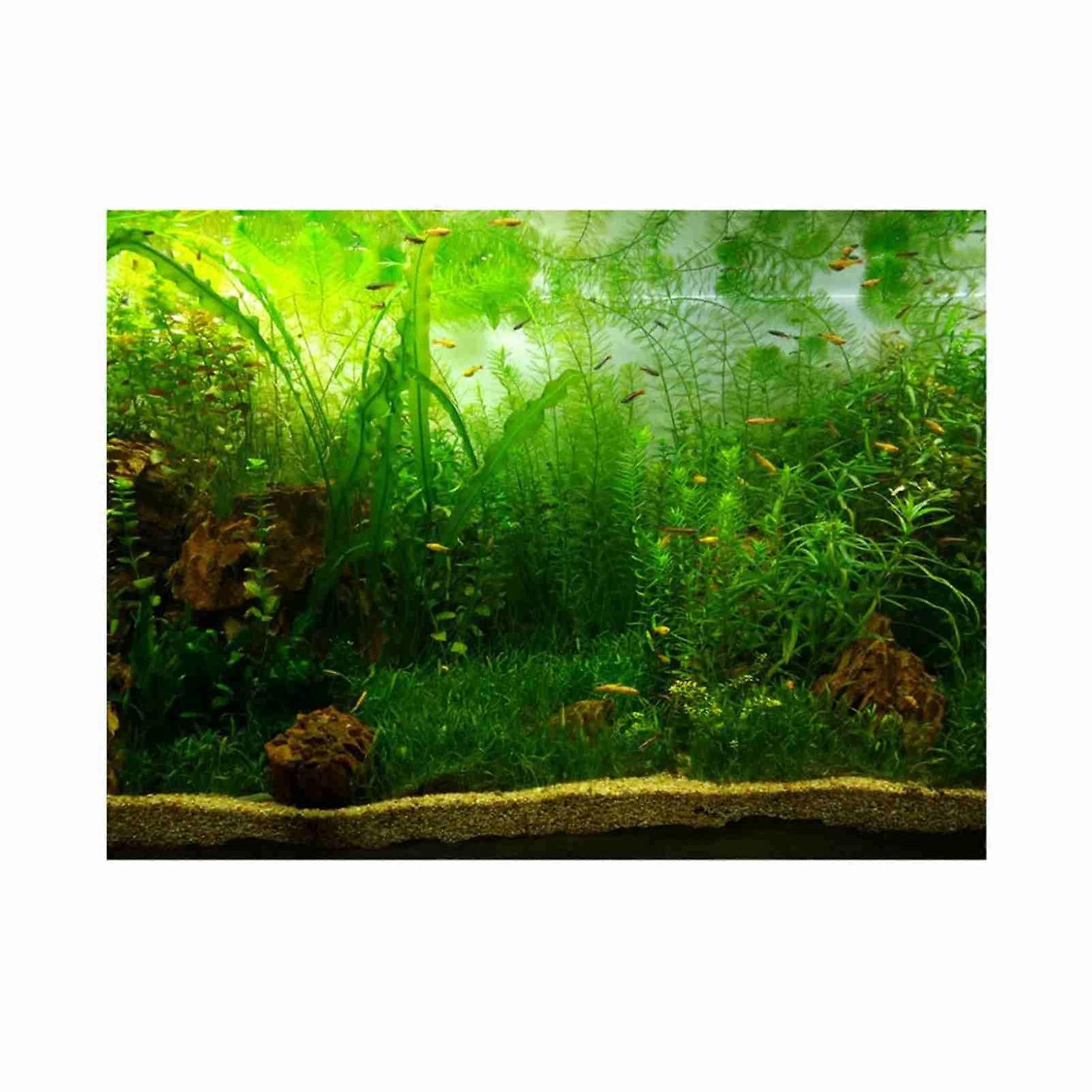 Decorative PVC adhesive paper for aquarium (76 x 30 cm)