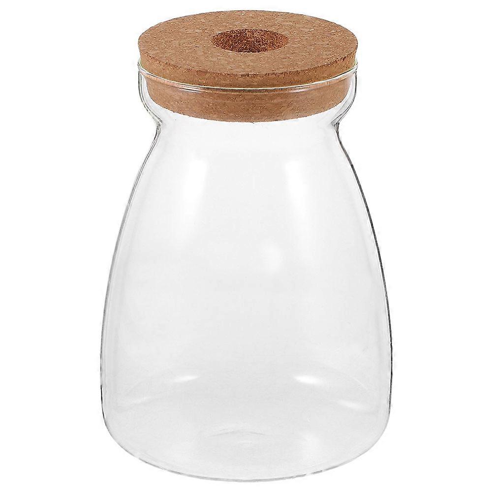 Miniature Landscape Propagation Station Glass Jar with Cork Lid for Humidity Retention – Ideal for Plant Lovers and Gardening Enthusiasts – Home and