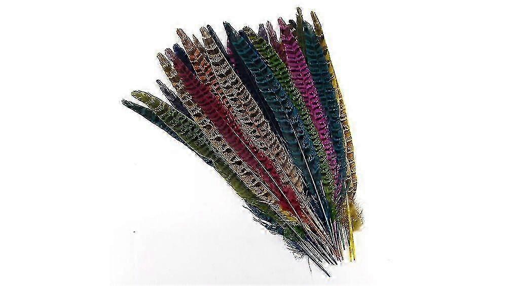 Natural Pheasant Tail Feathers for Craft Decorations Dyed Hat Art 25-30cm