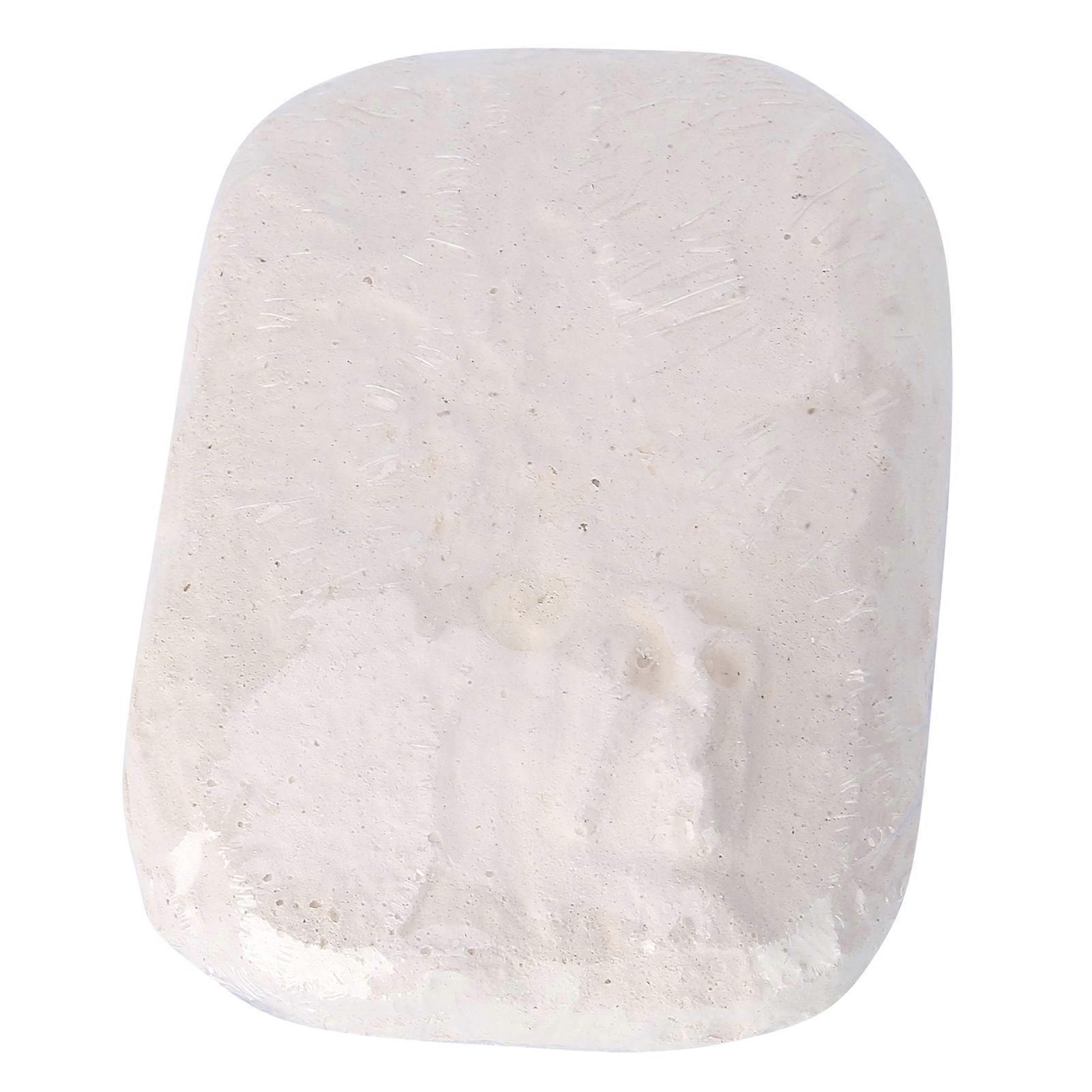 Dinosaur Digging Fossil Kit Champsosaurus 16.5x12cm DIY Toy